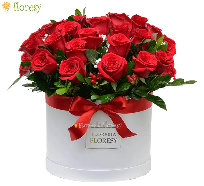 Caja con 24 rosas premium