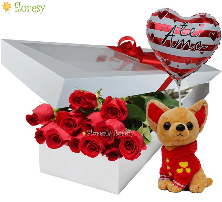 Caja con 12 rosas + peluche chihuahua + globo mediano