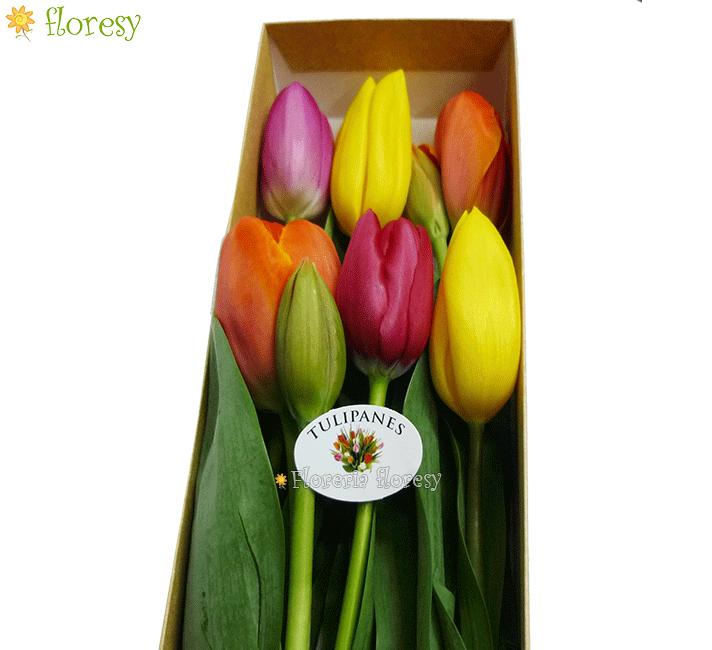 Box with 6 tulips