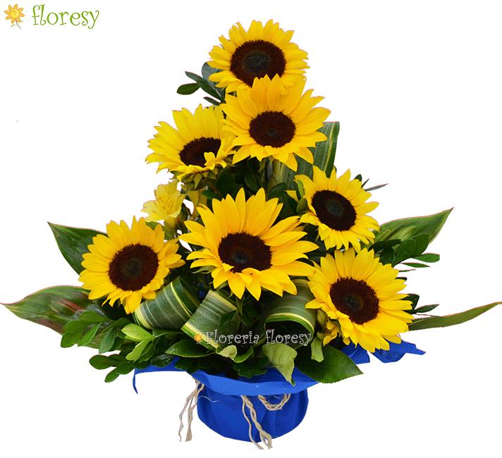 Modelo Sunflowers Surprise